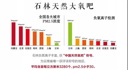 大美云南,旅居石林,凱旋怡景詩(shī)意棲息地產(chǎn)品發(fā)布會(huì)圓滿落幕
