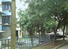 大江廠一組團 安居客房產百科