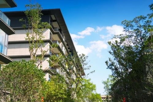 寶能滇池九璽 山海相逢,如約而至以匠心品質兌現(xiàn)向往的生活