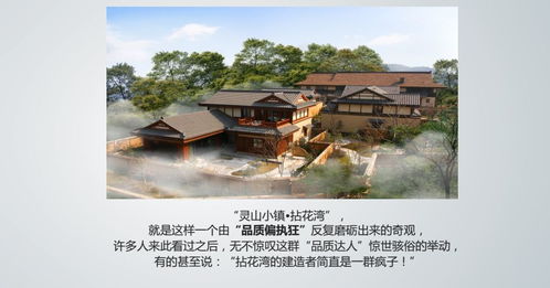 中國鄉村振興戰略特色小鎮與田園綜合體高端總裁峰會 西安站剪輯