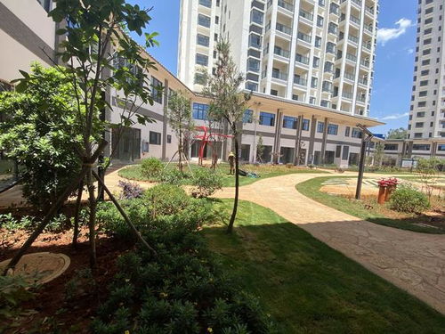 全款17萬起，云南5A級景區旅居房產帶回家